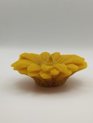 Svíčka ze včelího vosku - plovoucí Gerbera